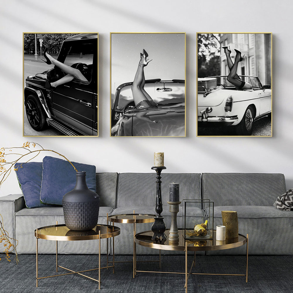 Black and White Luxury Cars, S - Waterproof Spray Shoe recension och pris